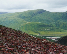 西藏高原的一抹红