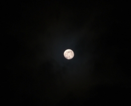 甜月亮
